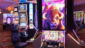 Tampilan meja Blackjack live di aplikasi desa4d dengan dealer profesional dan statistik real-time
